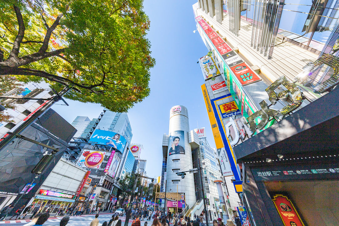 Tokyo Travel Guide: Attractions, Dining, & Lodging