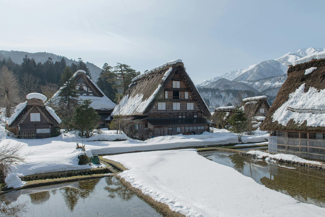 Best 7 Places to Visit in Japan in December