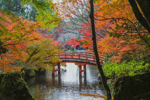 10 Japanese Gardens You Should Visit for Tranquility