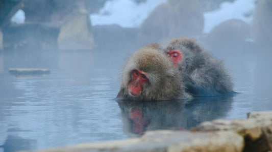 Complete Guide to Japan’s Famous Onsen Towns