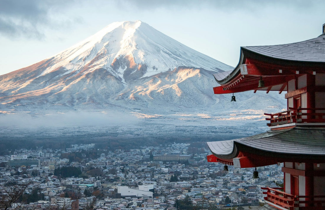 Day Trip Guide to Mount Fuji from Tokyo