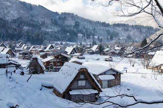 Seasonal Travel Plans & Must-See Destinations in Japan